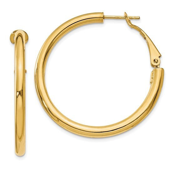 Yellow Gold Polished Omega Back Hoop Earrings
