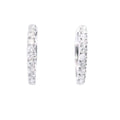 White Gold Carat Diamond Hoop Earrings