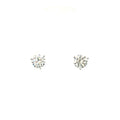 White Gold Diamond Stud Earrings