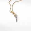 Tusk Amulet with Botswana Agate and 18K Yellow Gold